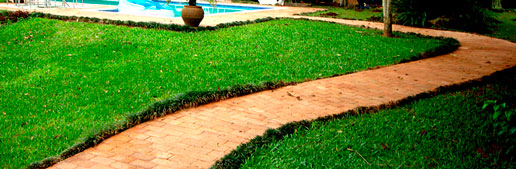 Polimento e Limpeza de Outras Superfícies